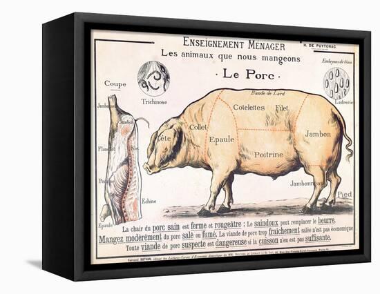 Cuts of Pork, illustration from a French Domestic Science Manual by H. de Puytorac, 19th century-null-Framed Premier Image Canvas