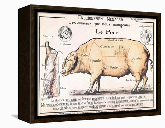 Cuts of Pork, illustration from a French Domestic Science Manual by H. de Puytorac, 19th century-null-Framed Premier Image Canvas