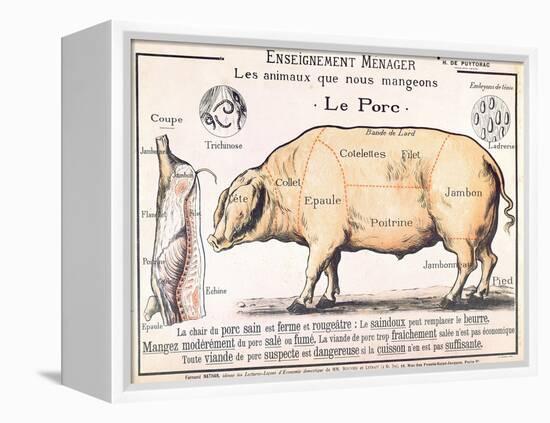 Cuts of Pork, illustration from a French Domestic Science Manual by H. de Puytorac, 19th century-null-Framed Premier Image Canvas