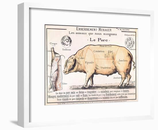 Cuts of Pork, illustration from a French Domestic Science Manual by H. de Puytorac, 19th century-null-Framed Giclee Print