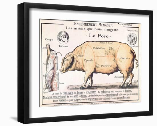 Cuts of Pork, illustration from a French Domestic Science Manual by H. de Puytorac, 19th century-null-Framed Giclee Print