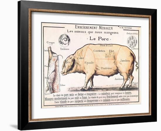 Cuts of Pork, illustration from a French Domestic Science Manual by H. de Puytorac, 19th century-null-Framed Giclee Print