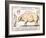 Cuts of Pork, illustration from a French Domestic Science Manual by H. de Puytorac, 19th century-null-Framed Giclee Print