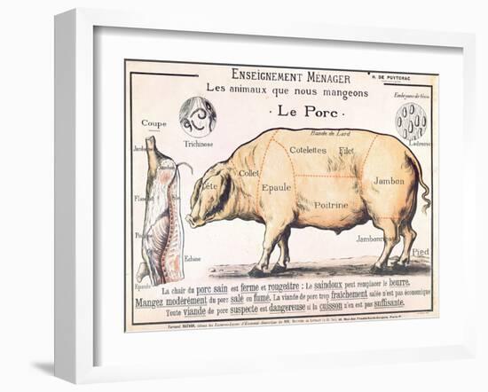 Cuts of Pork, illustration from a French Domestic Science Manual by H. de Puytorac, 19th century-null-Framed Giclee Print