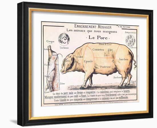 Cuts of Pork, illustration from a French Domestic Science Manual by H. de Puytorac, 19th century-null-Framed Giclee Print