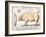 Cuts of Pork, illustration from a French Domestic Science Manual by H. de Puytorac, 19th century-null-Framed Giclee Print