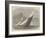 Cutter Match of the Royal London Yacht Club-Edwin Weedon-Framed Giclee Print