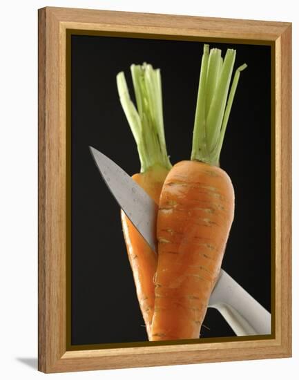 Cutting a Carrot in Half with a Knife-Vladimir Shulevsky-Framed Premier Image Canvas