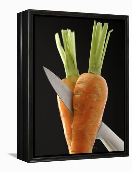 Cutting a Carrot in Half with a Knife-Vladimir Shulevsky-Framed Premier Image Canvas