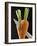 Cutting a Carrot in Half with a Knife-Vladimir Shulevsky-Framed Photographic Print