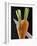 Cutting a Carrot in Half with a Knife-Vladimir Shulevsky-Framed Photographic Print