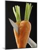 Cutting a Carrot in Half with a Knife-Vladimir Shulevsky-Mounted Photographic Print