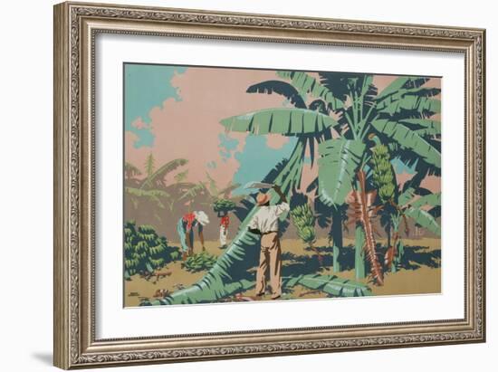 Cutting Bananas in Jamaica-Frank Newbould-Framed Giclee Print