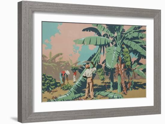 Cutting Bananas in Jamaica-Frank Newbould-Framed Giclee Print