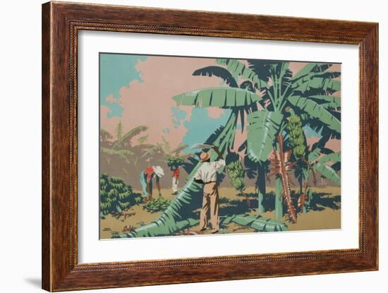 Cutting Bananas in Jamaica-Frank Newbould-Framed Giclee Print