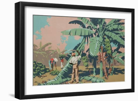 Cutting Bananas in Jamaica-Frank Newbould-Framed Giclee Print