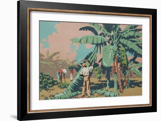 Cutting Bananas in Jamaica-Frank Newbould-Framed Giclee Print