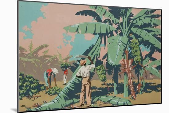 Cutting Bananas in Jamaica-Frank Newbould-Mounted Giclee Print