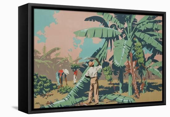 Cutting Bananas in Jamaica-Frank Newbould-Framed Premier Image Canvas