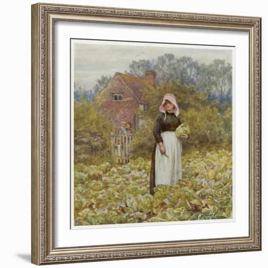 Cutting Cabbages, Allingh-Helen Allingham-Framed Art Print