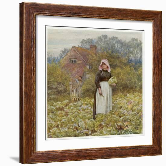 Cutting Cabbages, Allingh-Helen Allingham-Framed Art Print