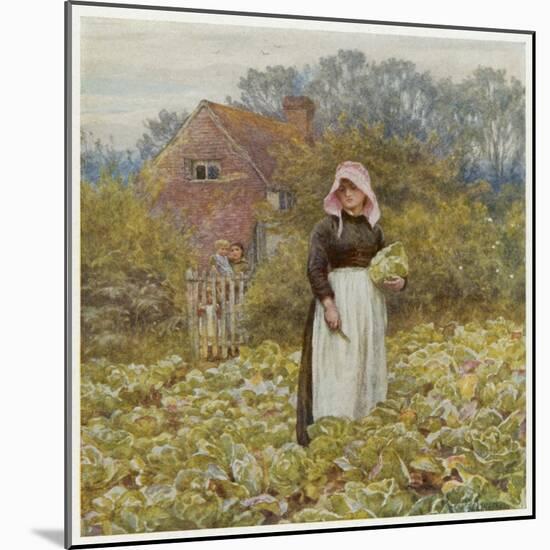 Cutting Cabbages, Allingh-Helen Allingham-Mounted Art Print