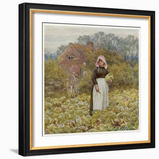 Cutting Cabbages, Allingh-Helen Allingham-Framed Art Print