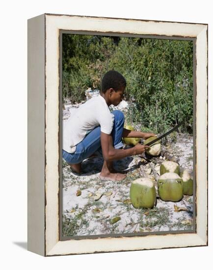 Cutting Coconuts, Barbuda-null-Framed Premier Image Canvas