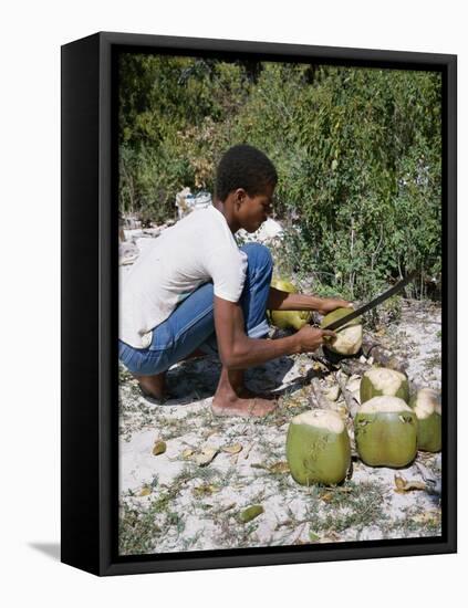 Cutting Coconuts, Barbuda-null-Framed Premier Image Canvas