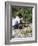 Cutting Coconuts, Barbuda-null-Framed Photographic Print