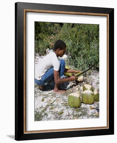 Cutting Coconuts, Barbuda-null-Framed Photographic Print