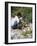 Cutting Coconuts, Barbuda-null-Framed Photographic Print