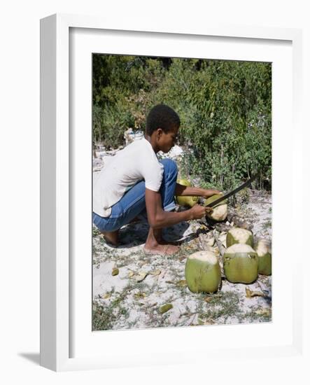 Cutting Coconuts, Barbuda-null-Framed Photographic Print