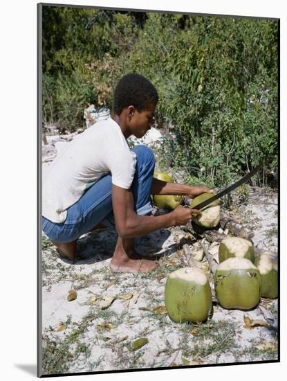 Cutting Coconuts, Barbuda-null-Mounted Photographic Print