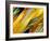 Cutting Corners-Ruth Palmer 4-Framed Art Print