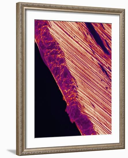 Cutting Edge of Used Razor Blade-Micro Discovery-Framed Photographic Print