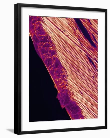 Cutting Edge of Used Razor Blade-Micro Discovery-Framed Photographic Print