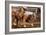 Cutting Horses-Lisa Dearing-Framed Photographic Print