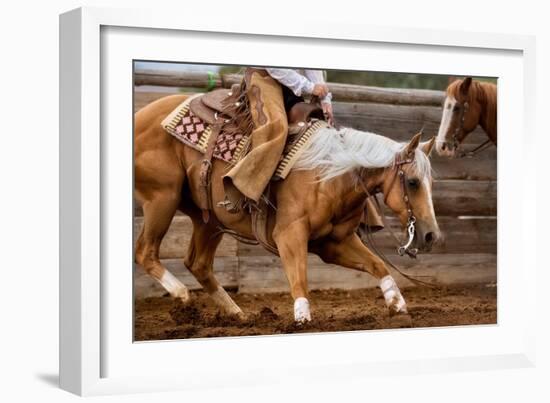 Cutting Horses-Lisa Dearing-Framed Photographic Print