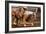 Cutting Horses-Lisa Dearing-Framed Photographic Print