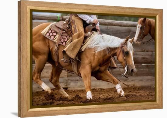 Cutting Horses-Lisa Dearing-Framed Premier Image Canvas