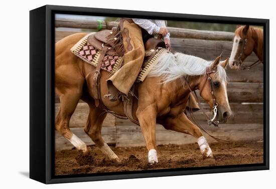 Cutting Horses-Lisa Dearing-Framed Premier Image Canvas