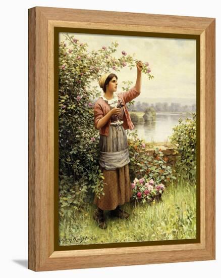 Cutting Roses Along the Seine-Daniel Ridgway Knight-Framed Premier Image Canvas