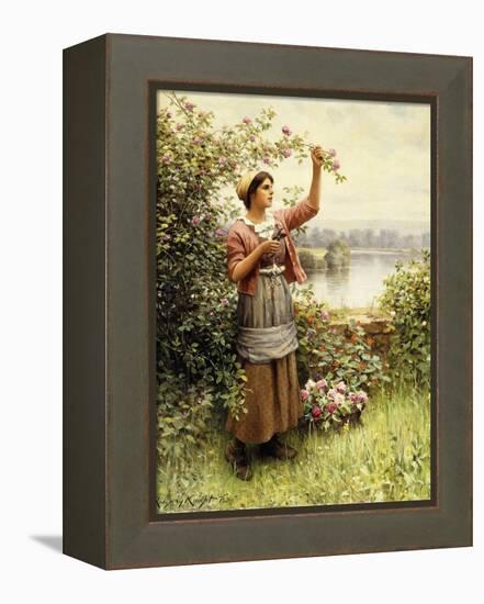 Cutting Roses Along the Seine-Daniel Ridgway Knight-Framed Premier Image Canvas