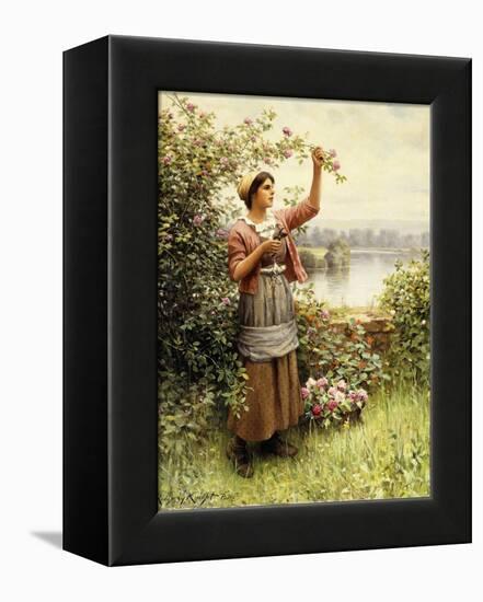 Cutting Roses Along the Seine-Daniel Ridgway Knight-Framed Premier Image Canvas