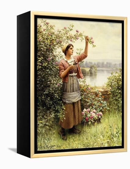 Cutting Roses Along the Seine-Daniel Ridgway Knight-Framed Premier Image Canvas