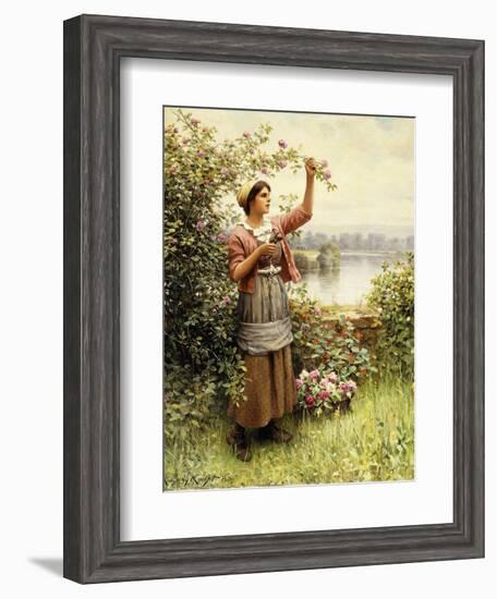 Cutting Roses Along the Seine-Daniel Ridgway Knight-Framed Giclee Print