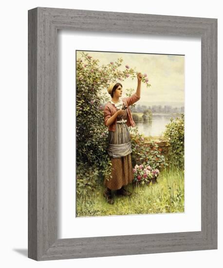 Cutting Roses Along the Seine-Daniel Ridgway Knight-Framed Giclee Print