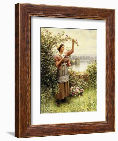 Cutting Roses Along the Seine-Daniel Ridgway Knight-Framed Giclee Print