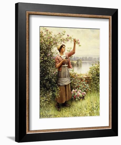 Cutting Roses Along the Seine-Daniel Ridgway Knight-Framed Giclee Print